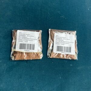 Two Sheer Mesh Thongs- Nude